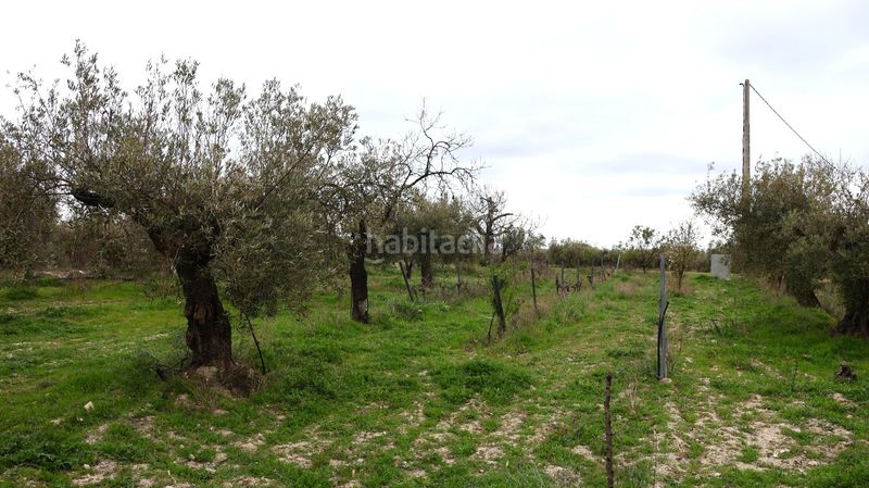 Foto 936650e7-5505-4b60-9a32-483df35a32b4. Casa a Oria