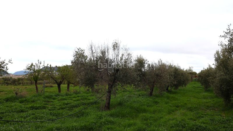 Foto 9e81f109-3196-4bc2-80b5-bf0d57027f7b. Casa a Oria