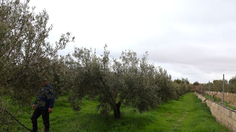 Foto ad58e8b1-d7bb-4b2f-ab00-04d4b89be1ac. Casa a Oria