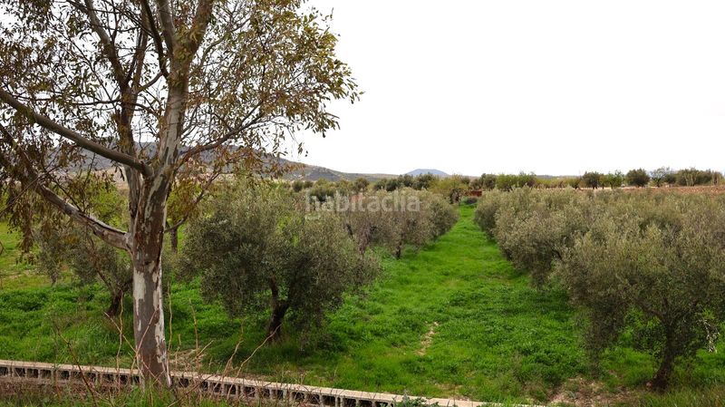 Foto cacece32-bf14-4820-b4db-5a0615a435d6. Casa a Oria