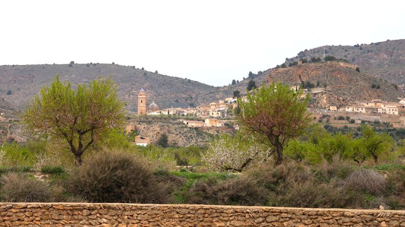 Foto e03dced1-db1b-4341-b3ca-022bb3fe9923. Casa a Oria