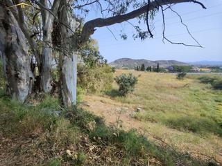 Mas à Partida de lomas. Finca rúst. en venta en la campiñuela.