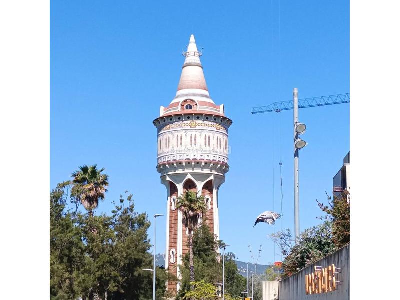Foto 1edc5bc1-c1a6-48d7-add8-cdb118d333bd. Pis a Barceloneta Barcelona