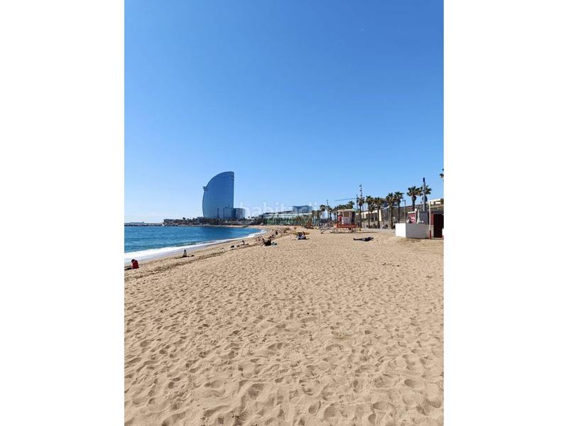 Foto 40794302-65fc-4211-ba55-e9e31ae13904. Pis a Barceloneta Barcelona