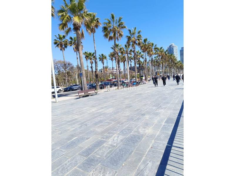 Foto 4d470ca5-3b18-43de-a6a7-2ed412db57f5. Pis a Barceloneta Barcelona