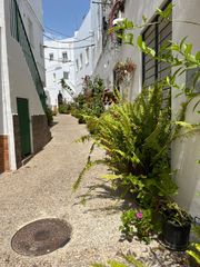 Casa a Conil. Chalet adosado en venta en conil