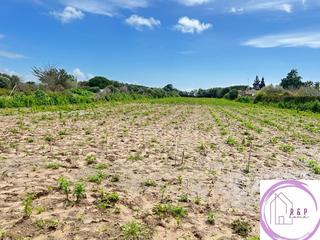 Fondo rustico  N/a. Terreno segregado y rustico en la venta blas