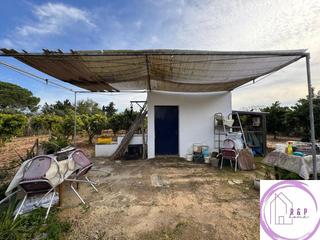 Finca rústica  Muergo. Parcela segregada y rústica en la zona de la coquina