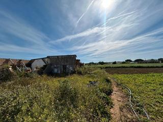 Finca rústica a Barrio Nuevo. Parcela rústica y segregada en conil