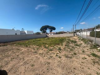 Finca rústica a Las Lagunas - Campano. Parcela rústica e indivisa a la venta en el florín