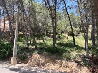 Terreny residencial  Agramunt