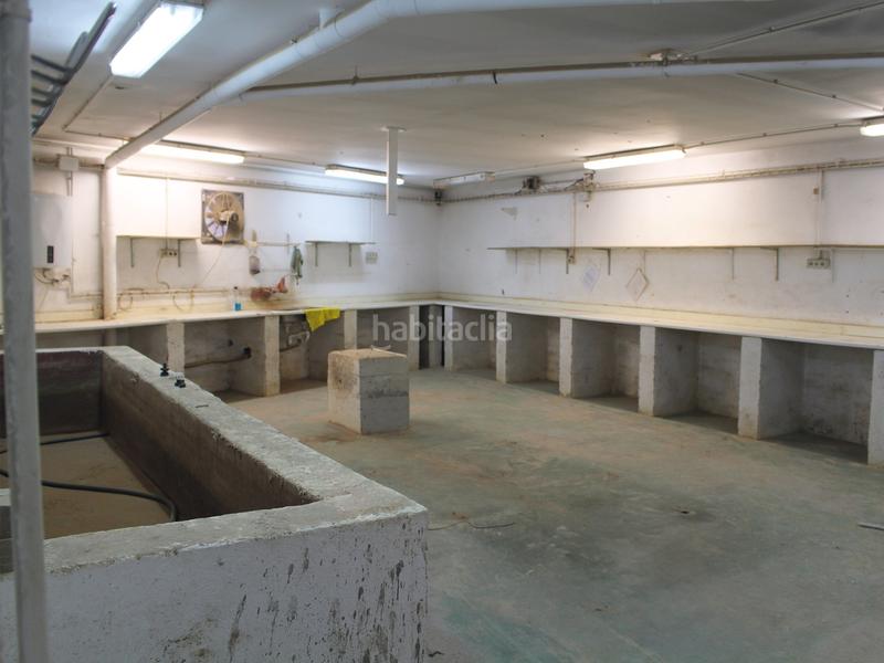 Foto f57a3d97-a653-4025-9dfe-ba437c58ff23. Rent industrial building in Mas Lluí - Els Miralls Sant Just Desvern