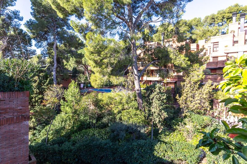 Foto 0d84c721-1d2a-43cf-b55c-b0806ef6e5ce. Planta baixa amb calefacció aparcament piscina a Sant Just Desvern