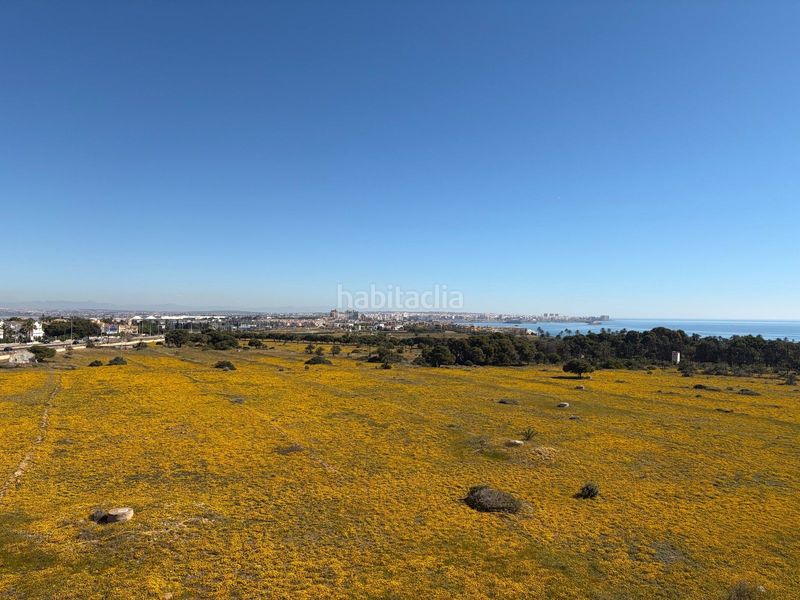 Foto b845e5ff-9a73-4ffa-b89e-c10adc6cb89c. Àtic a calle a Punta Prima Torrevieja