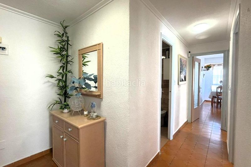 Foto d8d24057-94c7-4d3a-b452-9dc65fd1ec10. Àtic a calle c. suecia 14 a Zona Playa de los Locos Torrevieja