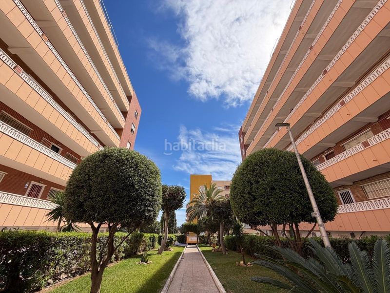 Foto 940cf87d-84f9-4dd6-a7b6-124eb1878c6b. Apartament a calle c. rocio 3 a Punta Prima Torrevieja