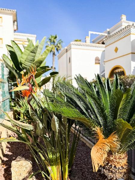 Foto 090ae414-5349-4e83-963c-f365dd1c8163. Attico con piscina in Cañada del Molino Torrevieja