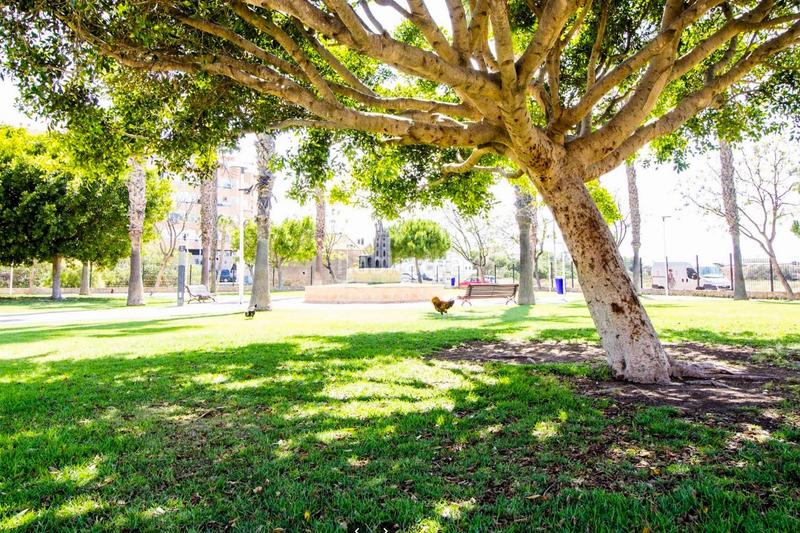 Foto 8330c414-265d-40ad-be2d-c0bce9b46447. Piccolo appartamento in calle rafal 4 in El Acequión Torrevieja