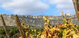 Terreny residencial  Cornudella de montsant - crta porrera. Fincas rústicas al priorat