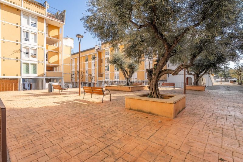 Foto fadc571f-1de3-4888-b3f3-4e59909a1154. Pis amb calefacció a Constantí
