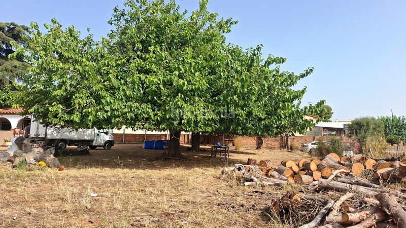 Foto e7f14764-9e65-4187-bd4b-5fde66976468. Casa a Llevant Reus