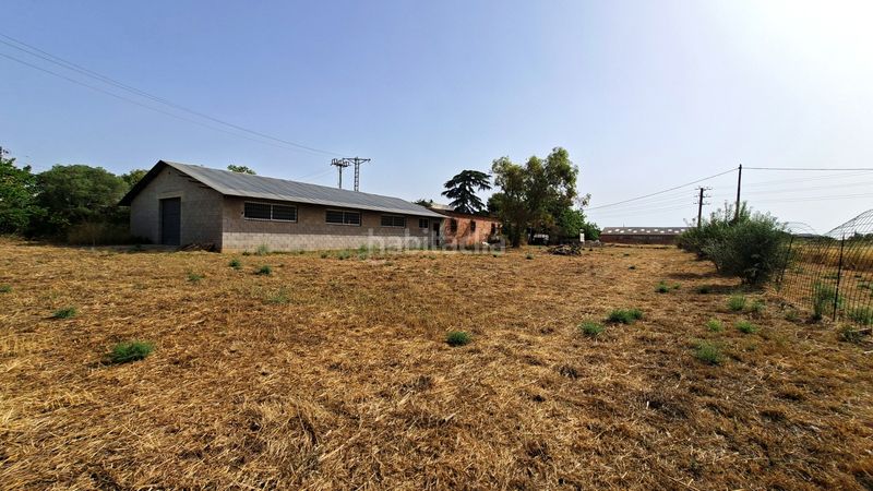 Foto e846af9f-3744-4ef5-8e56-8e40f80e7008. Casa a Llevant Reus