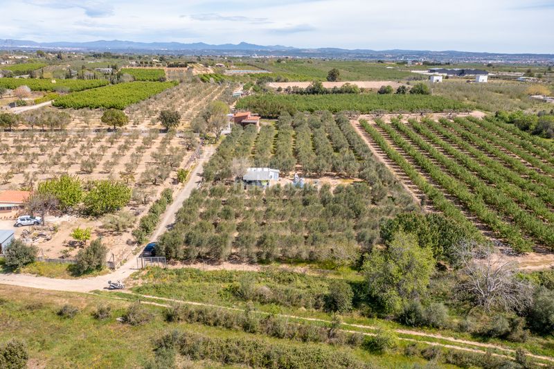 Foto 0c4a8c66-b3c3-4d54-a606-b4dee5c92a0c. Finca rústica a Selva del Camp (La)