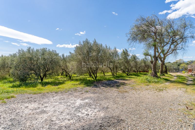Foto e0ae8579-967c-4bab-8982-01c026771090. Finca rústica a Selva del Camp (La)