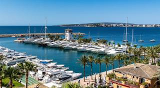 Rent Business premise in Portals Nous