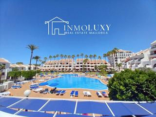 Estudi a Playa de las Amricas. Estudio reformado en tenerife  inversin perfecta con licencia v