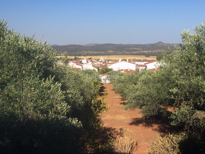 Foto 901ee946-d748-4032-9504-a1ec881bfb84. Masia a n/a a Olivenza