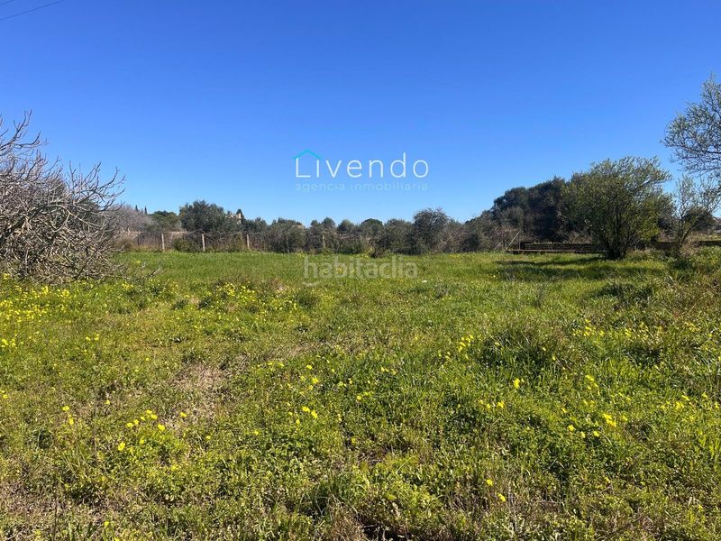 Foto 9d12c068-f702-4f19-8180-4940b8d5c1d8. Terreny residencial a Los Franceses - La Vega Chiclana de la Frontera