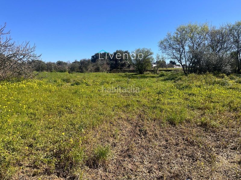 Foto b2d07cf6-19ea-4ab3-aa3b-1f2e38d16ca2. Terreny residencial a Los Franceses - La Vega Chiclana de la Frontera