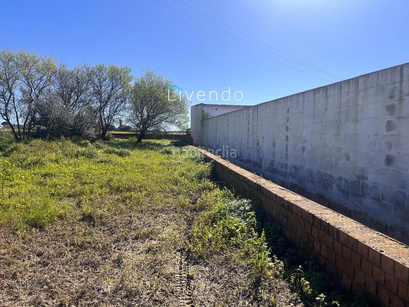 Foto e11f7e8c-f300-439b-b479-495f2dc4bc78. Terreny residencial a Los Franceses - La Vega Chiclana de la Frontera