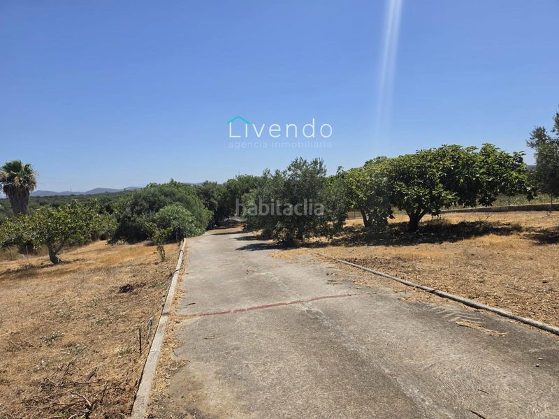 Foto 3e6835f1-0409-4908-aee3-865a53d27916. Xalet amb piscina a Pelagatos - Pago del Humo Chiclana de la Frontera