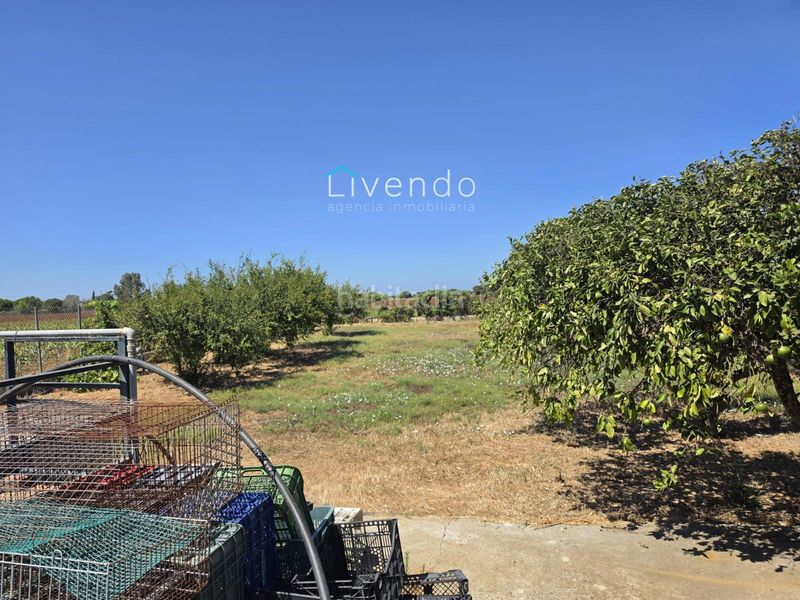Foto aa2ce91a-126b-4369-9772-77365484e0b0. Xalet amb piscina a Pelagatos - Pago del Humo Chiclana de la Frontera