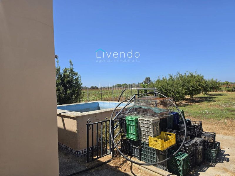 Foto d9d2d4ae-ab05-4d64-b2e2-123b85bc6dc0. Xalet amb piscina a Pelagatos - Pago del Humo Chiclana de la Frontera