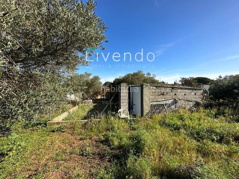 Foto bc62174b-16b1-4262-bd49-2c683f0c78a5. Chalet con piscina in Los Franceses - La Vega Chiclana de la Frontera