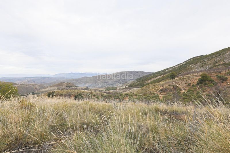 Foto 9ba39242-0ab7-4605-8ded-f48332935c5b. Finca rústica a extrarradio 237 a Monachil pueblo Monachil