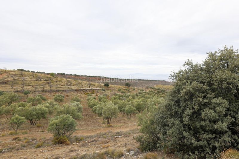 Foto b6f0a45f-6ead-4467-8ff9-c8f070b92cc2. Finca rústica a extrarradio 237 a Monachil pueblo Monachil