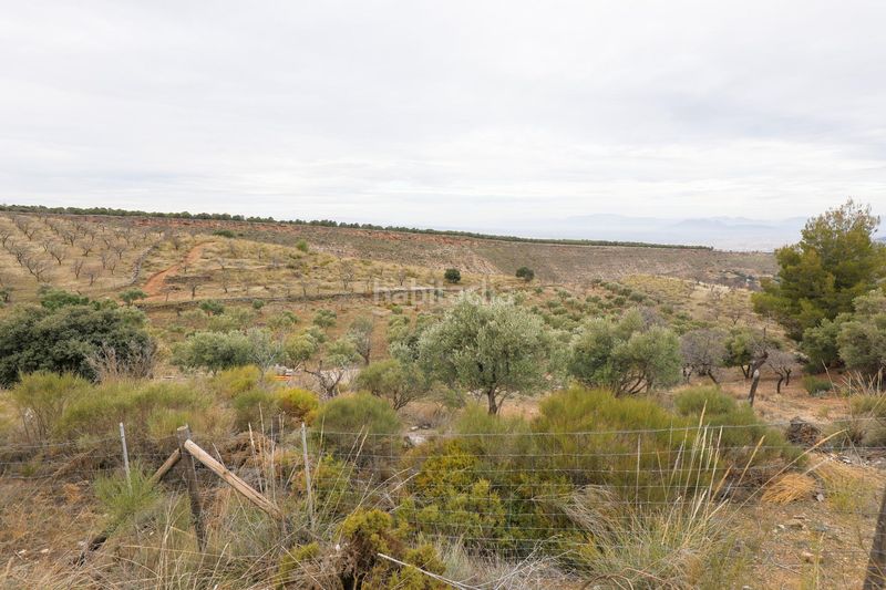 Foto c7f1e3b2-8c01-4877-ac9c-07fae77119b0. Finca rústica a extrarradio 237 a Monachil pueblo Monachil