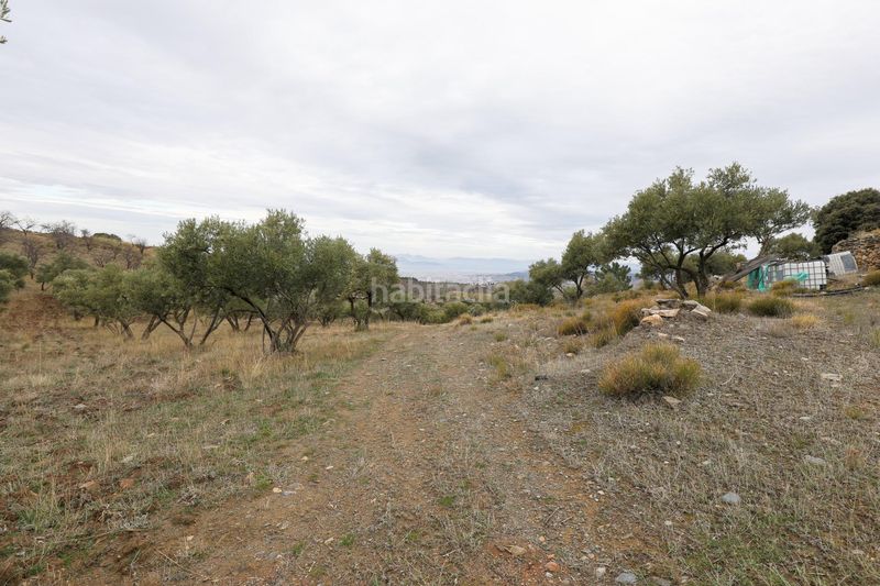Foto d266b7c5-d6d5-4df2-9f07-877792aeab84. Finca rústica a extrarradio 237 a Monachil pueblo Monachil