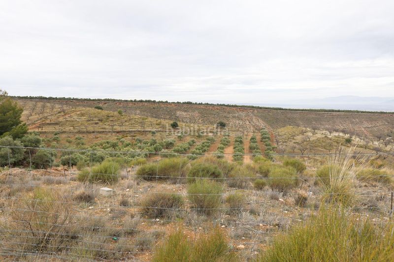 Foto f43d8ff0-4229-4105-9e64-10fa95376d3c. Finca rústica a extrarradio 237 a Monachil pueblo Monachil