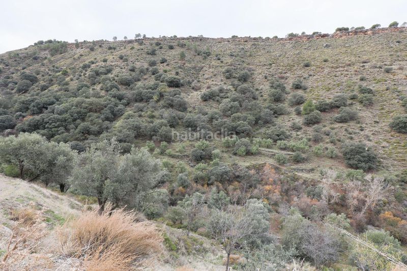 Foto d1644207-8907-4069-be2c-4a943385e19f. Finca rústica a extrarradio 232 a Monachil pueblo Monachil