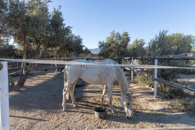 Foto ed7386e4-f32a-4a1e-8bce-37561cd03f2e. Mas dans Cumbres Verdes Zubia (La)