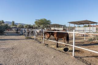 Country house  Diseminados