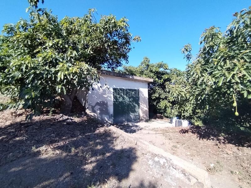 Foto 8e75b1a4-8f15-47bd-986a-1c0ea3df99af. Propriété dans El Rescate - Río Seco Almuñécar