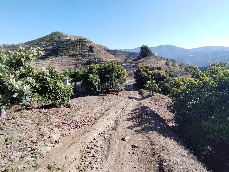 Foto f0524811-bdcd-4e78-ac64-def34b5a1f71. Finca rústica en El Rescate - Río Seco Almuñécar