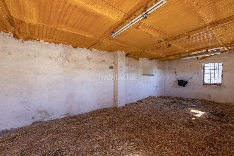 Foto 1509aaaf-8972-426f-914b-0461f6a50d33. Rural plot in Atarfe