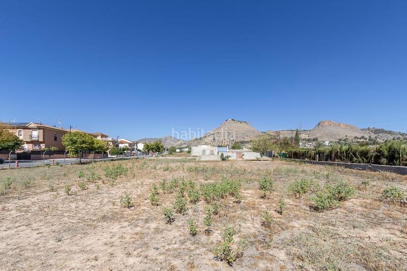 Foto 735856b9-a758-4e69-8dc6-248ff9ae9074. Rural plot in Atarfe